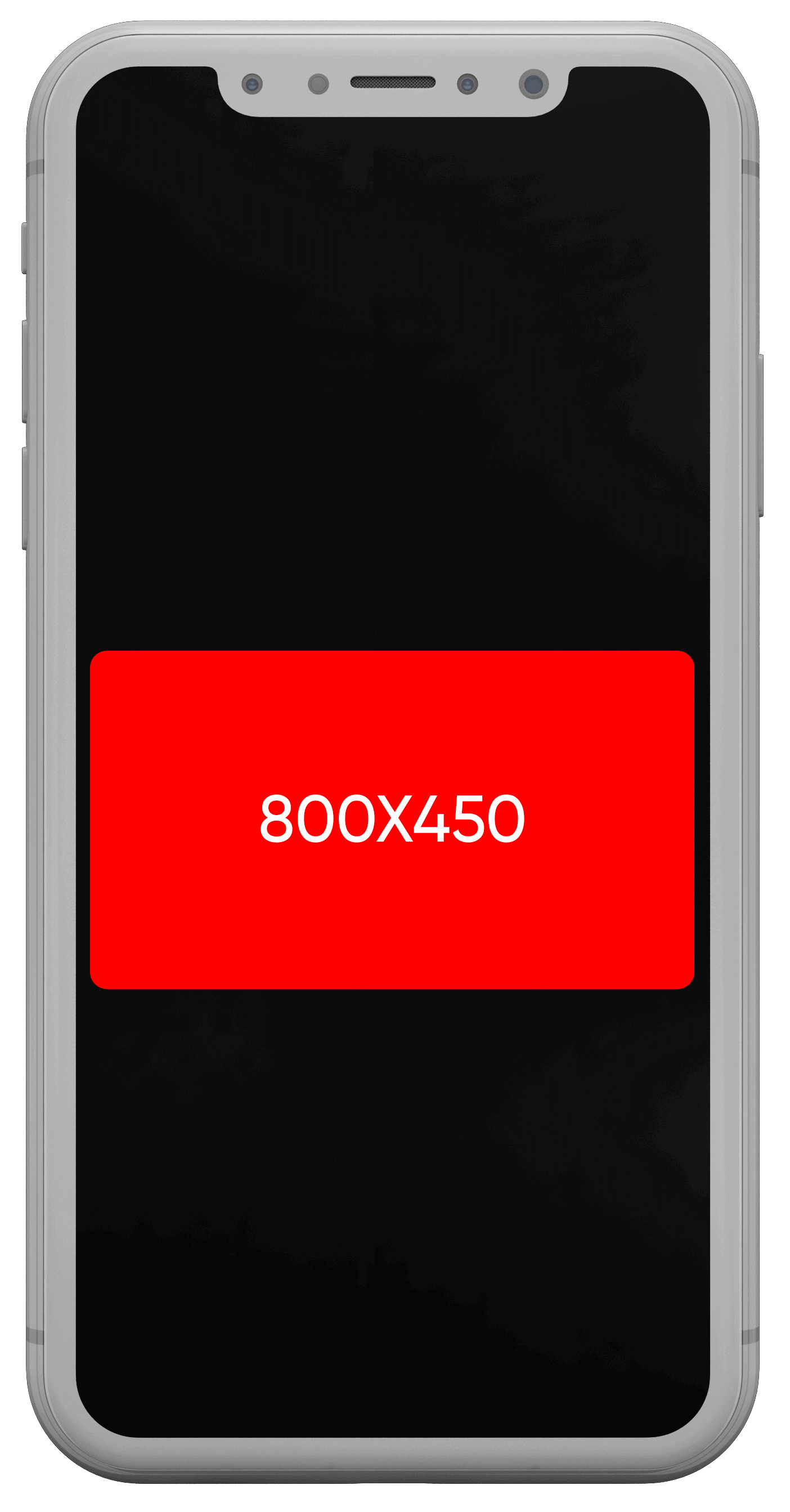 800х450