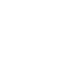 Иконка Absolute Championship Akhmat