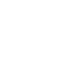 Иконка ONE Championship